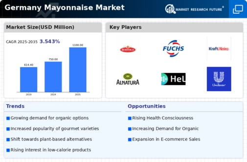 Germany Mayonnaise Market Infographic