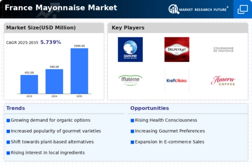 France Mayonnaise Market Infographic