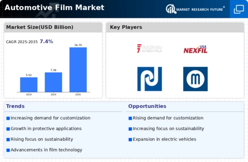 Automotive Film Market Infographic