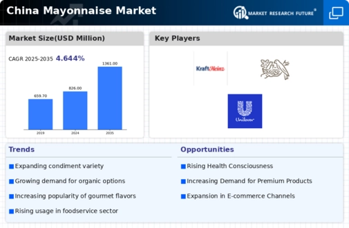 China Mayonnaise Market Infographic