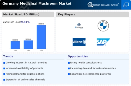 Germany Medicinal Mushroom Market Infographic