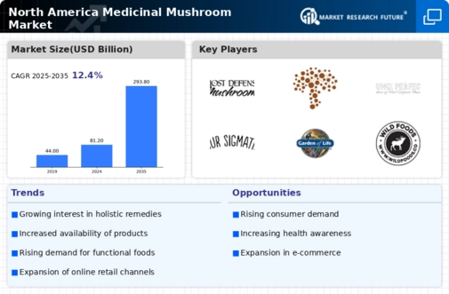 North America Medicinal Mushroom Market Infographic