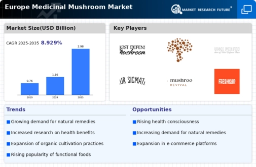 Europe Medicinal Mushroom Market Infographic