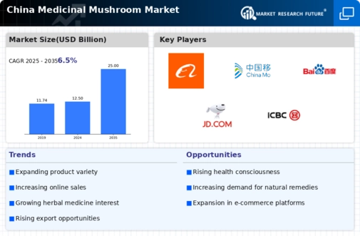 China Medicinal Mushroom Market Infographic