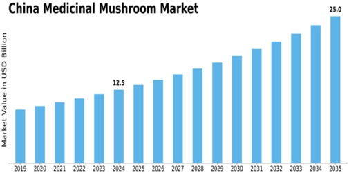 China Medicinal Mushroom Market Size