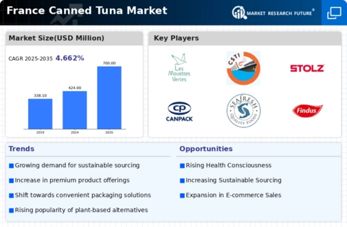 France Canned Tuna Market Infographic