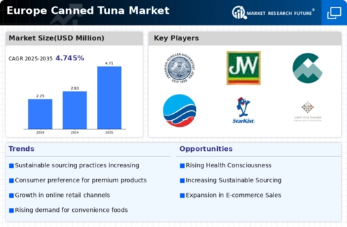 Europe Canned Tuna Market Infographic