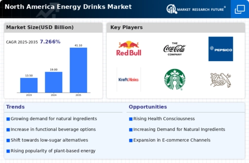 North America Energy Drinks Market Infographic