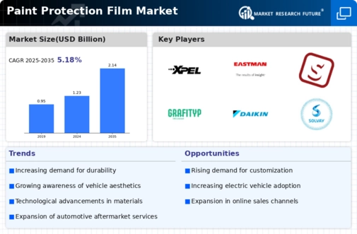 Paint Protection Film Market Infographic