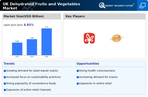 UK Dehydrated Fruits & Vegetables Market Infographic
