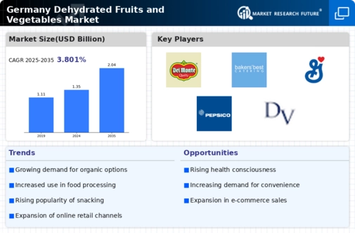 Germany Dehydrated Fruits & Vegetables Market Infographic