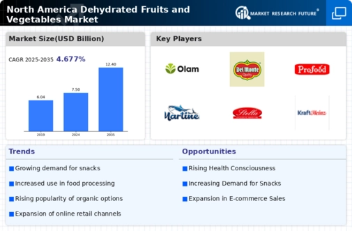 North America Dehydrated Fruits Vegetables Market Infographic