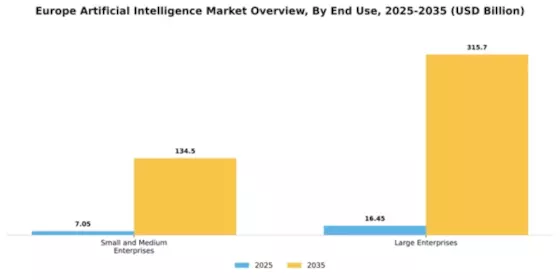 Europe Artificial Intelligence Market Segment Image 2