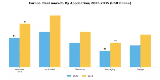 Europe Steel Market Segment Image 0