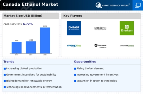 Canada Ethanol Market Infographic
