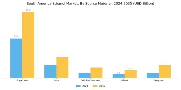 South America Ethanol Market Segment Image 3