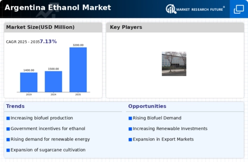 Argentina Ethanol Market Infographic