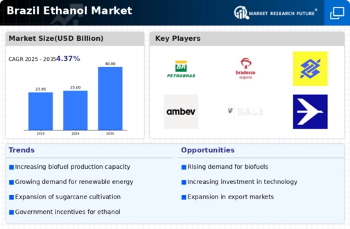 Brazil Ethanol Market Infographic