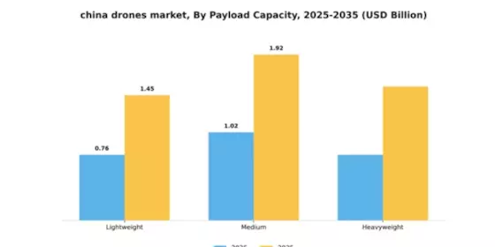 China Drones Market Segment Image 3