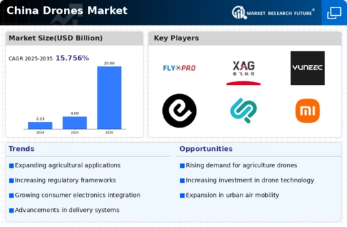 China Drones Market Infographic