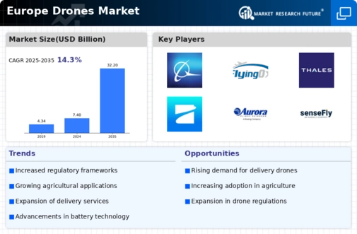 Europe Drones Market Infographic