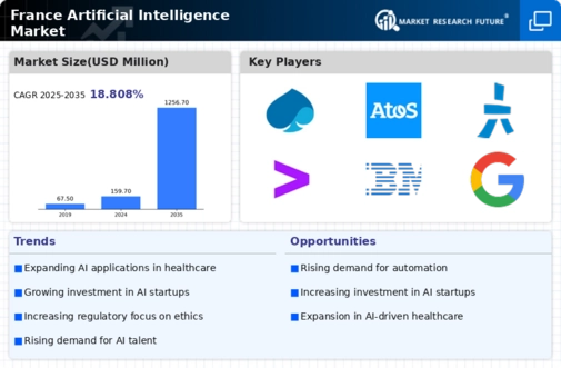 France Artificial Intelligence Market Infographic