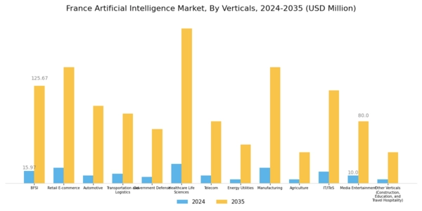France Artificial Intelligence Market Segment Image 3