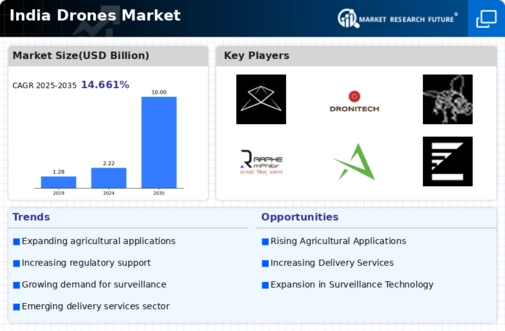 India Drones Market Infographic