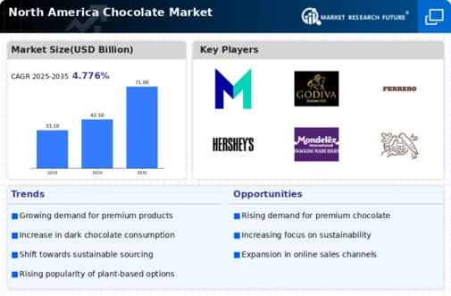 North America Chocolate Market Infographic