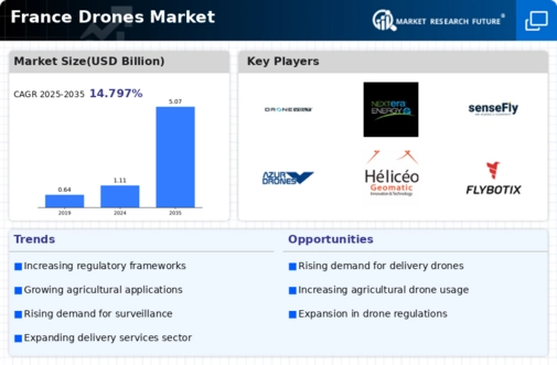 France Drones Market Infographic