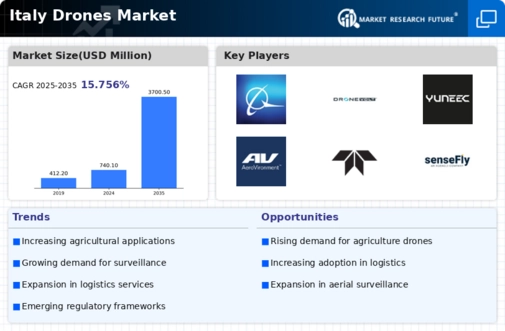 Italy Drones Market Infographic