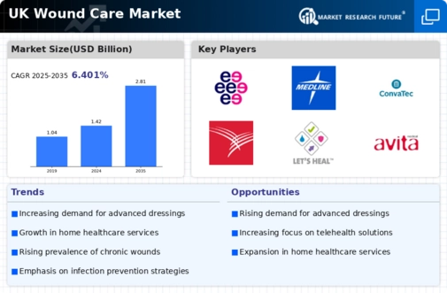 UK Wound Care Market Infographic