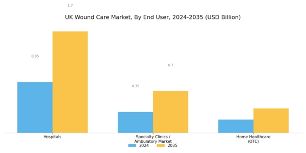 UK Wound Care Market Segment Image 2