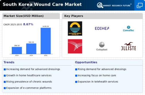 South Korea Wound Care Market Infographic