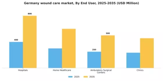 Germany Wound Care Market Segment Image 1