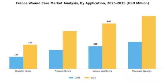 France Wound Care Market Segment Image 0