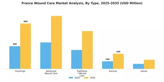 France Wound Care Market Segment Image 2