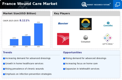 France Wound Care Market Infographic