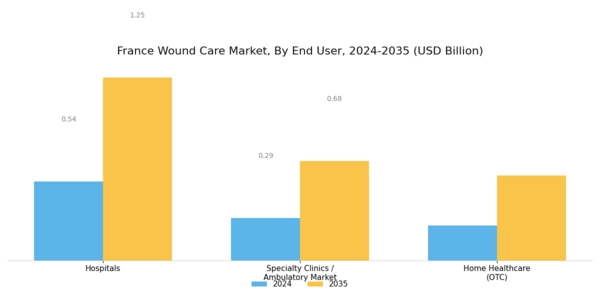 France Wound Care Market Segment Image 2