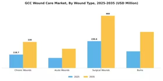 GCC Wound Care Market Segment Image 3