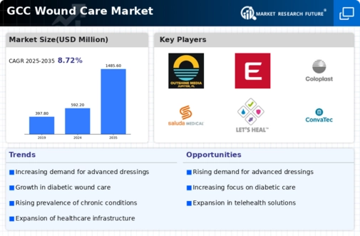 GCC Wound Care Market Infographic