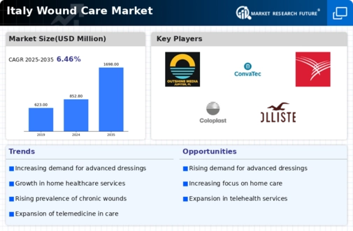 Italy Wound Care Market Infographic