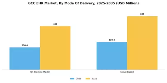 GCC Ehr Emr Market Segment Image 3