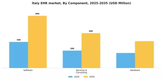 Italy Ehr Emr Market Segment Image 1