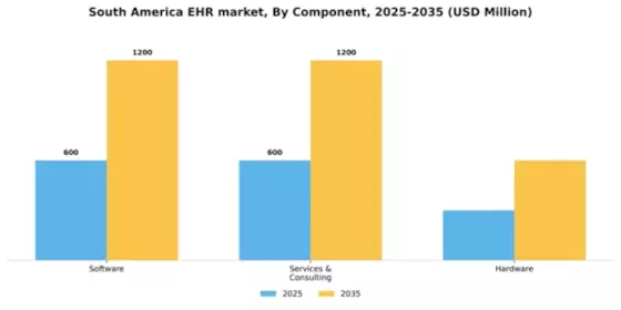 South America Ehr Emr Market Segment Image 1
