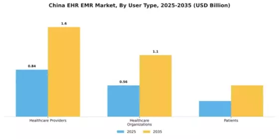China Ehr Emr Market Segment Image 4