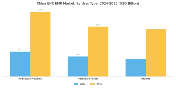 China Ehr Emr Market Segment Image 4