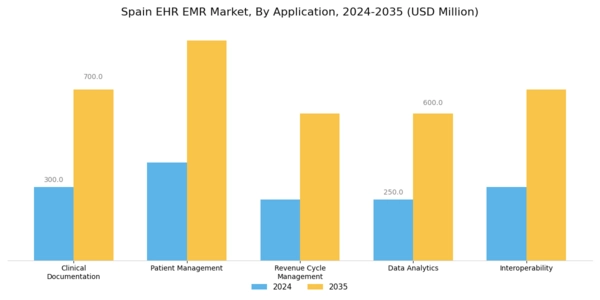 Spain Ehr Emr Market Segment Image 0