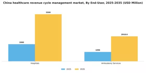 China Healthcare Revenue Cycle Management Market Segment Image 2