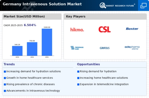 Germany Intravenous Solution Market Infographic